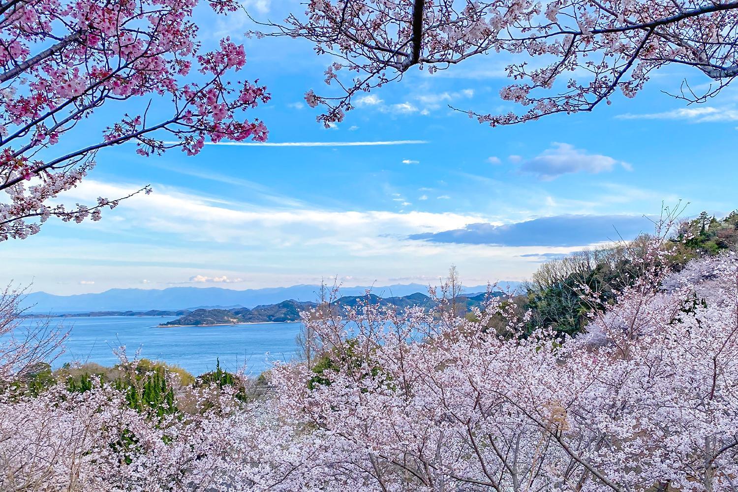 Lemon Farm Glamping Simanami Villa Onomichi Buitenkant foto