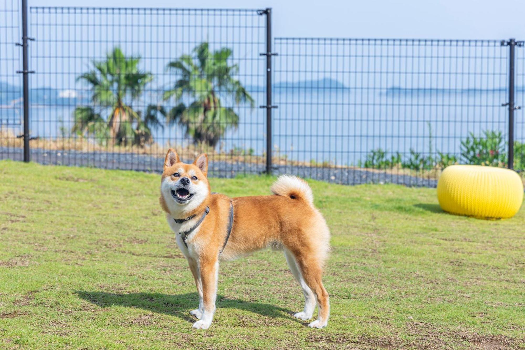 Lemon Farm Glamping Simanami Villa Onomichi Buitenkant foto
